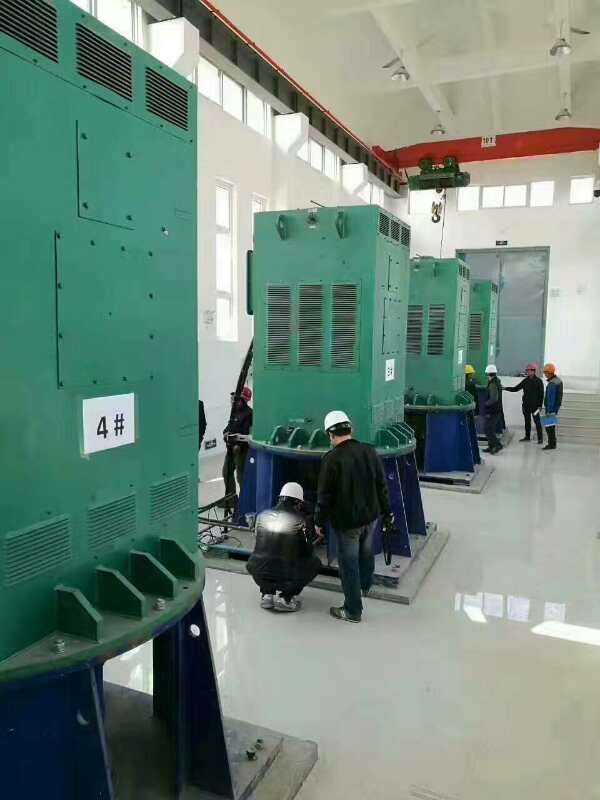 荆州某污水处理厂使用我厂的立式高压电机安装现场